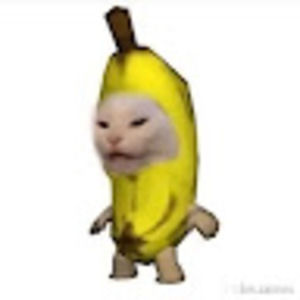 Meet your Posher, Claire